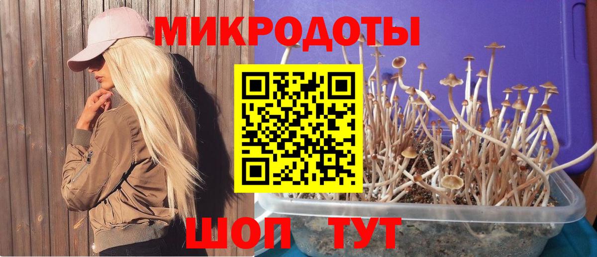 Псилоцибиновые грибы ЛСД  Псилоцибиновые грибы GOLDEN TEACHER  Вход с VPN  Заринск 